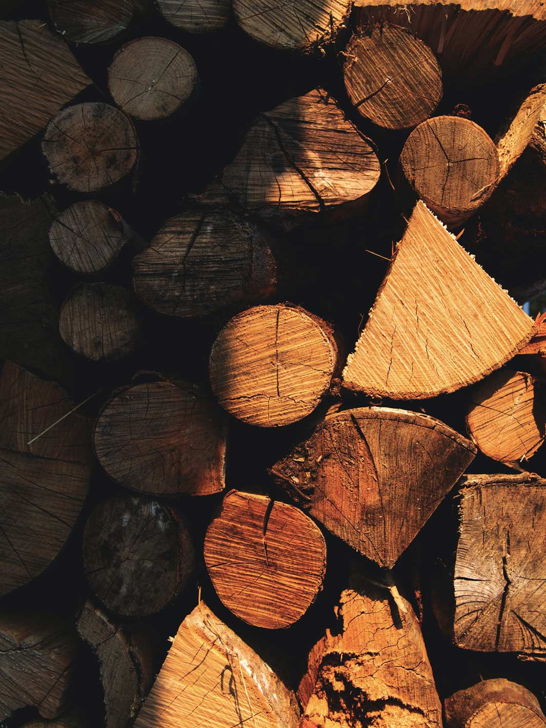 Holz gelagert